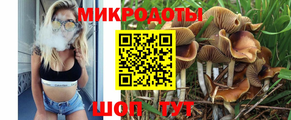 Галлюциногенные грибы GOLDEN TEACHER Верхняя Пышма