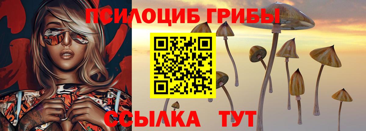 Псилоцибиновые грибы GOLDEN TEACHER  Вход с VPN  Верхняя Пышма  Псилоцибиновые грибы мухоморы 